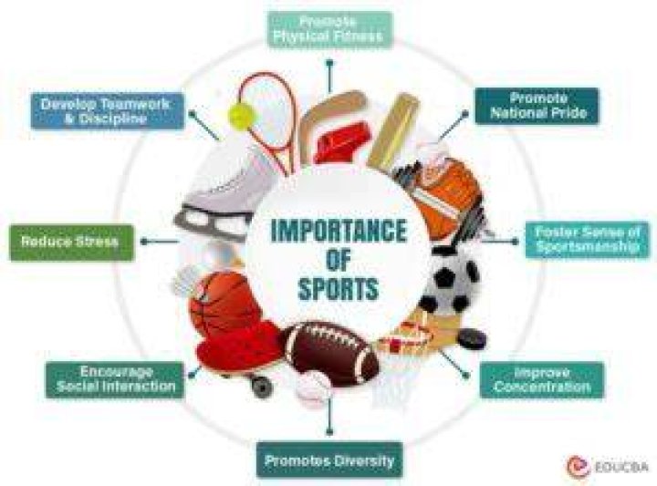 Exploring Physicality And Its Significance