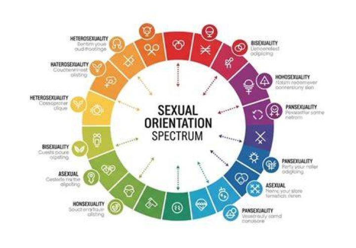 Exploring Sexual Orientation And Privacy