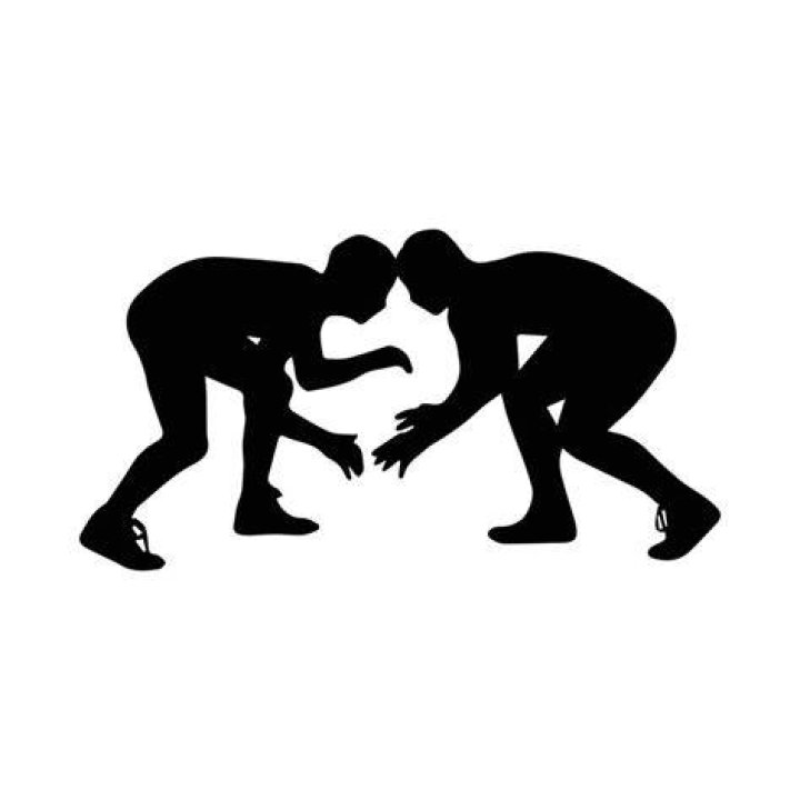 Exploring the Diverse Background of a Wrestling Icon! ·