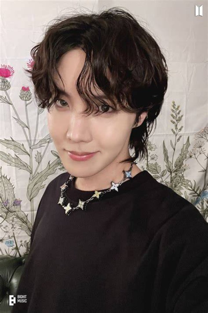 Exploring The Enigma Of J-Hope's Sexuality
