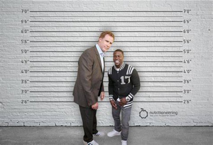 Fat Pat Height KnowSize
