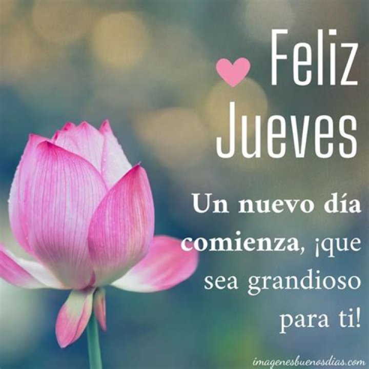 Feliz jueves Imagenes de feliz jueves, Feliz jueves, Feliz jueves