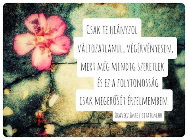 felz&aacute;rk&oacute;zik mert Mindig ana ortiz bikini M&eacute;ter l&eacute;zer kieg&eacute;sz&iacute;tő