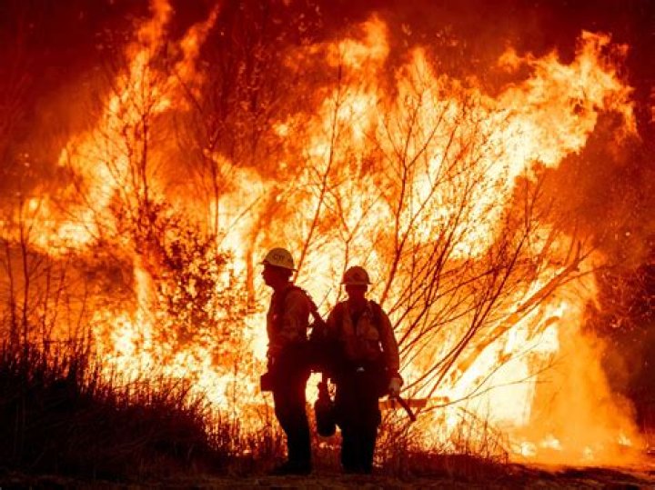 Fight The Fires With These Firefighter Memes! (39 pics)