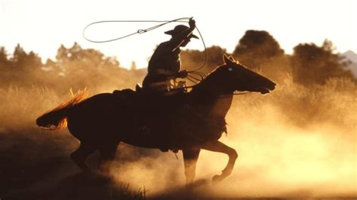 FileCowboy, Western United States, 18981905.jpg Wikimedia Commons
