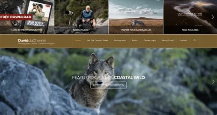 filnsquared Blog