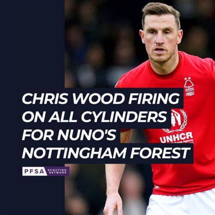 Find Out Is Chris Wood, Cal Wilson Husband Or Partner?