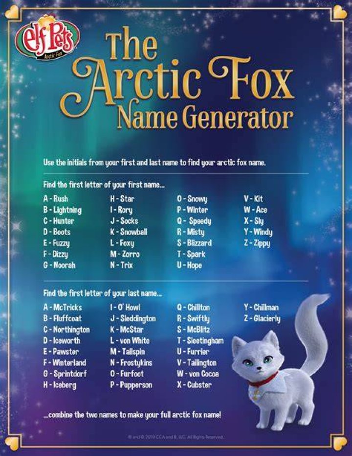 Find Your Arctic Fox Name! The Elf on the Shelf Elf pets, Elf on