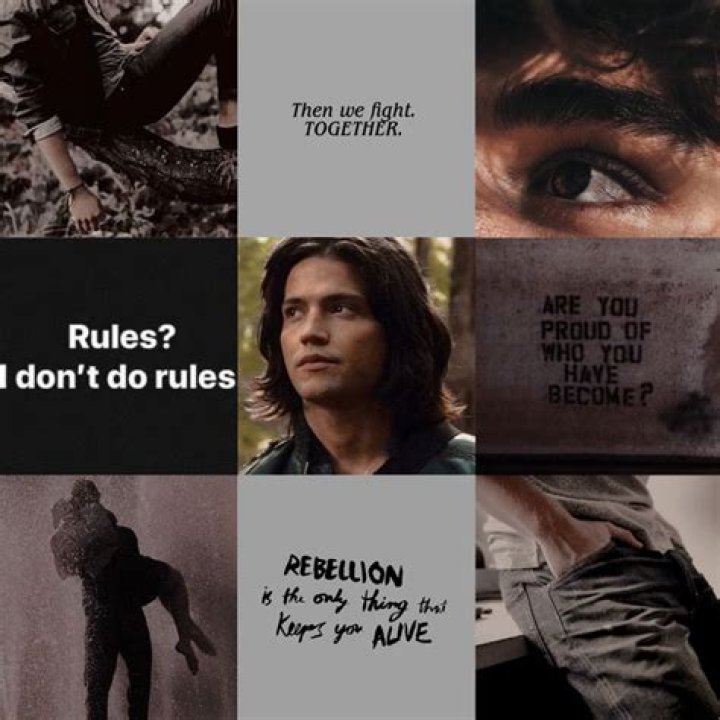 Finn Collins The 100 poster, Thomas mcdonell, The 100