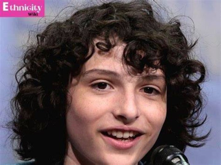 Finn Wolfhard Wiki, Bio, Age, Net Worth, and Other Facts Facts Five