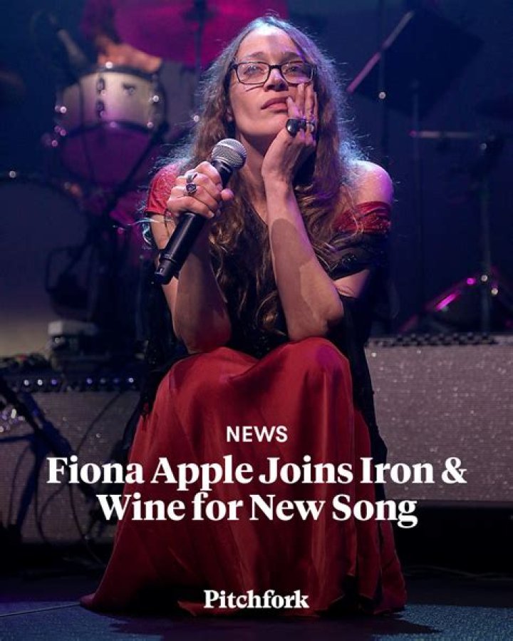 Fiona Apple&rsquo;s New Album, &lsquo;The Idler Wheel&rsquo; The New York Times