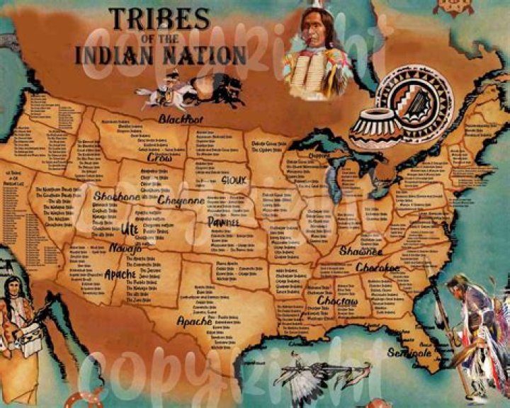 First Nations & Native American Celebs a list by NativeFilmEnthusiast