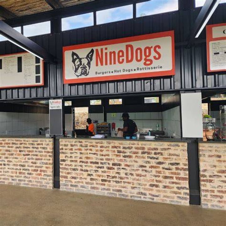 First Nine Dogs from Lane County Hoarding Case Available for Adoption