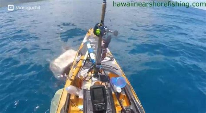 Fisherman on kayak has lucky escape off Oahu, Hawaii ·