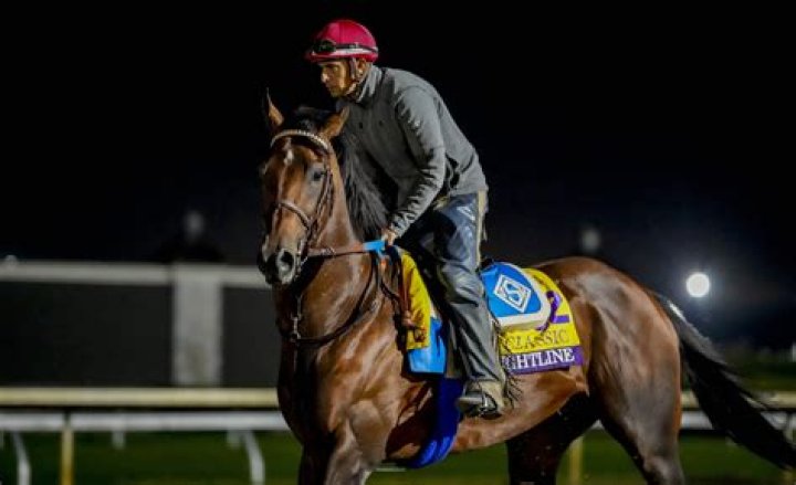 Flightline heads Breeders' Cup Classic; Baffert back in Ky