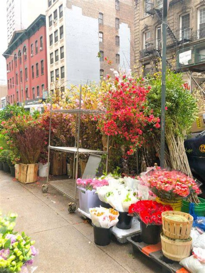 Floral Adventure New York City Flower District Golden Flowers