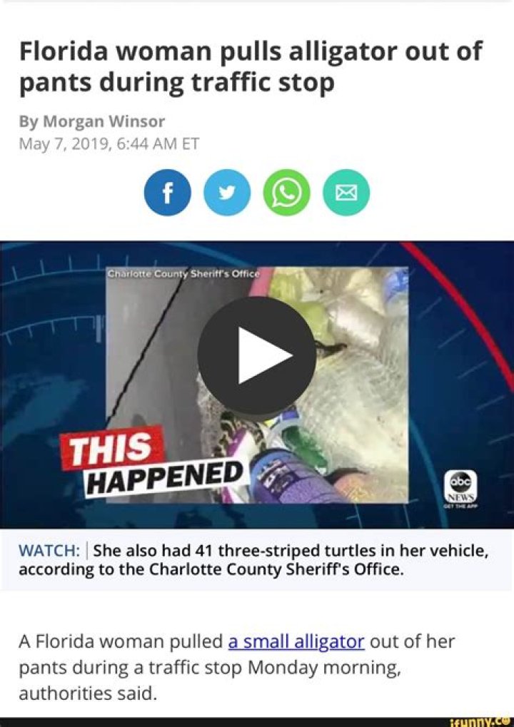 Florida woman who pulled alligator from pants gets probation