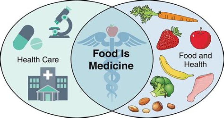 Food as Medicine & The Pegan Diet A Second Opinion Podcast