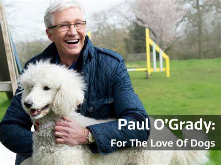 For the Love of Dogs and Baseball J.P. Crawford Pitches Sandwiches for