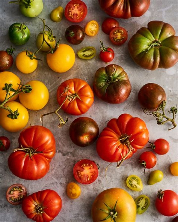 Francesco Scianna Rotten Tomatoes