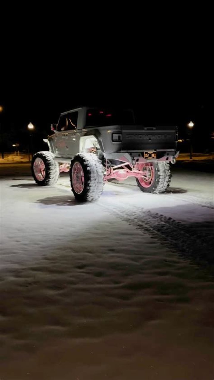 Frank By Snowwolf Jku