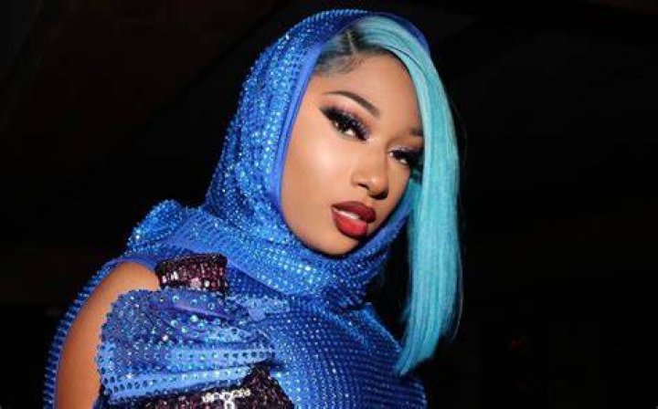 FreeTheeStallion Trends After Meg The Stallion Reveals Label Conflict