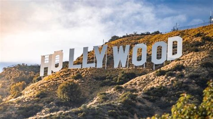 From Local Stages To Hollywood Stardom