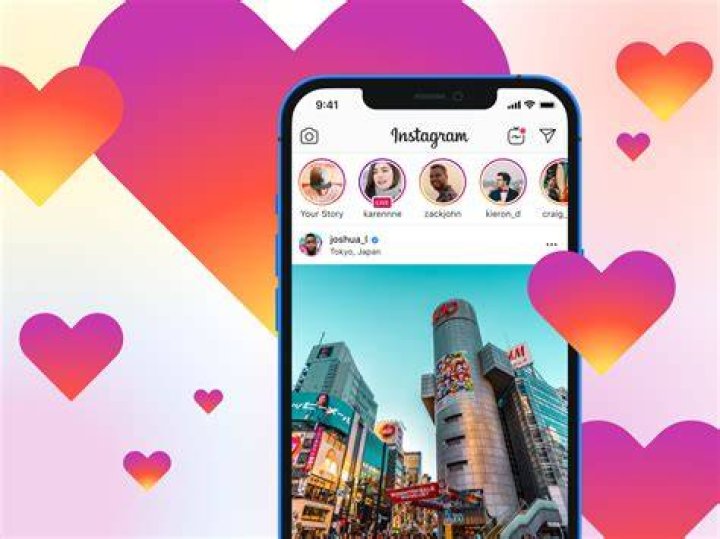 From Wikipedia To Instagram Fame