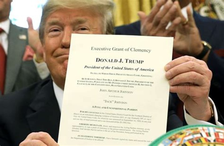 Full Pardon List Names of people Trump has pardoned Insider Paper