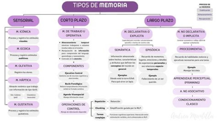 Fundaci&oacute;n memoria del Chamam&eacute;