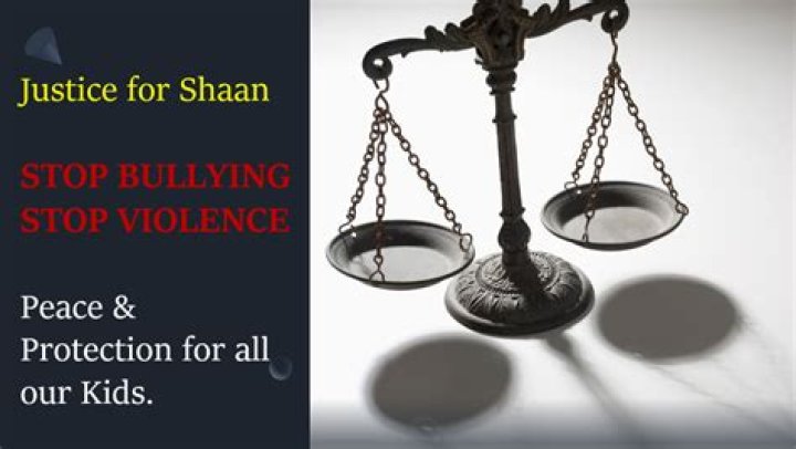 Fundraiser for Sonika Kukreja by Dinesh Hooda Justice for Shaan