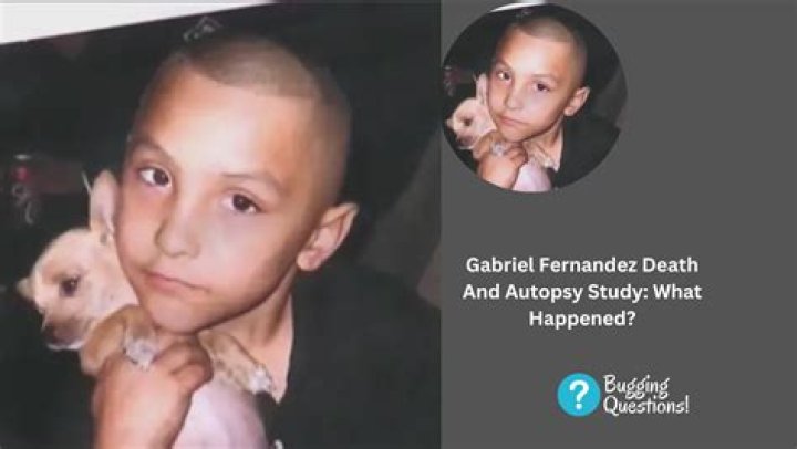 Gabriel Fernandez Autopsy Report: Uncovering The Unthinkable