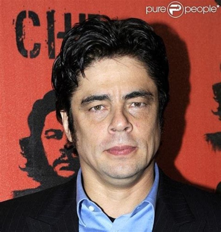 Gallery Tabloid Actress Benicio Del Toro Gallery