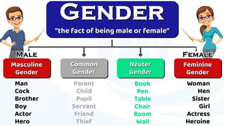 Gender "Equality" Memebase Funny Memes