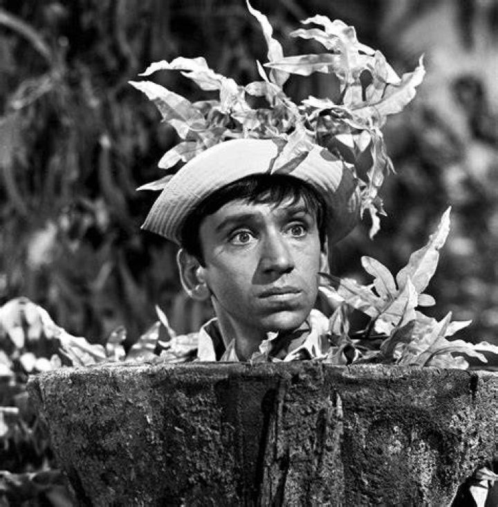 Gilligan's Island Ginger grant, Ginger gilligans island, Tina louise