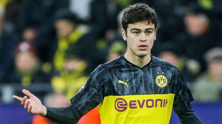 Giovanni Reyna Age, Salary, Net worth, Current Teams, Career, Height