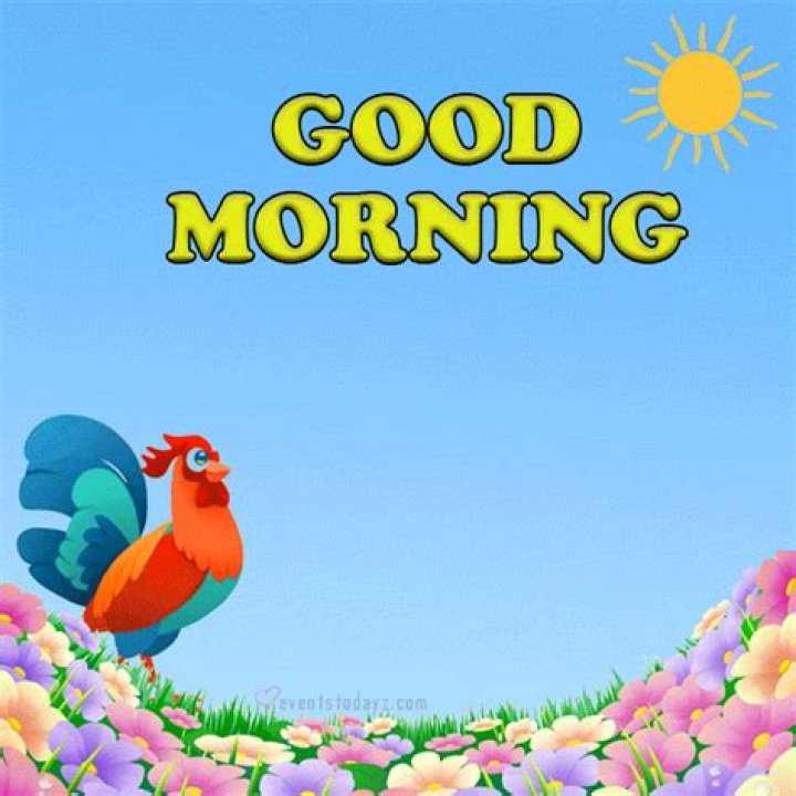 Good Morning GIFs Get the best GIF on GIPHY
