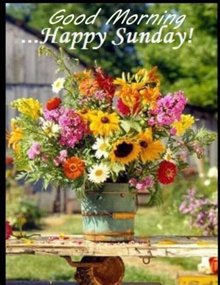 Good Morning Happy Sunday Image Wishes Quotes