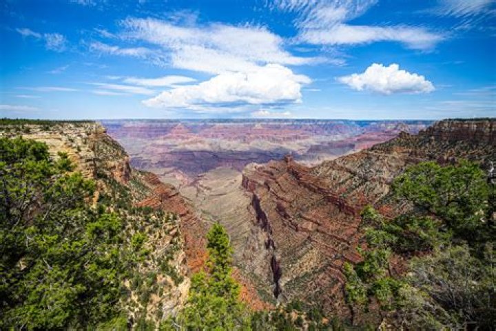 Grand Canyon 9 CANYON GB