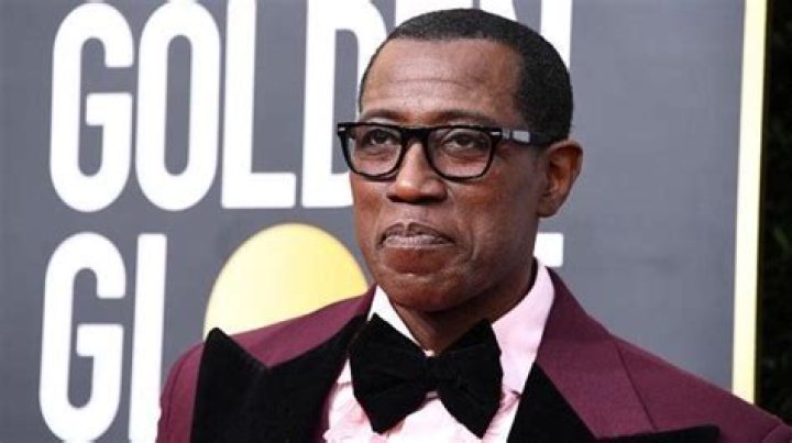 Graphic Wesley Snipes Accusations Involving Halle Berry Emerge on