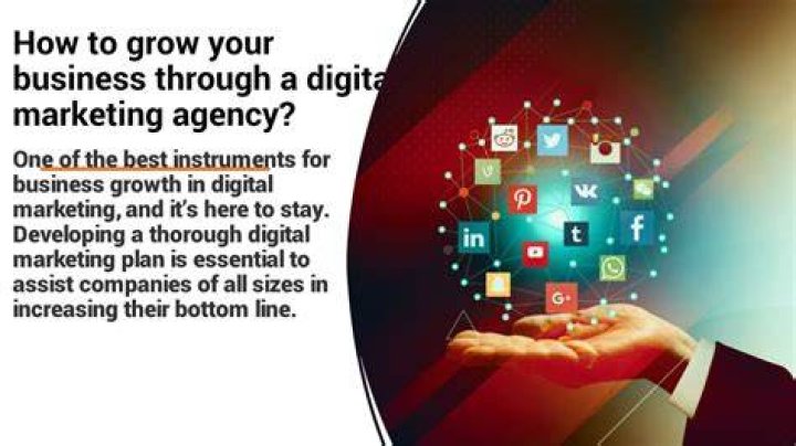 Grow Your Business Through A Social Media Platform Tiktok