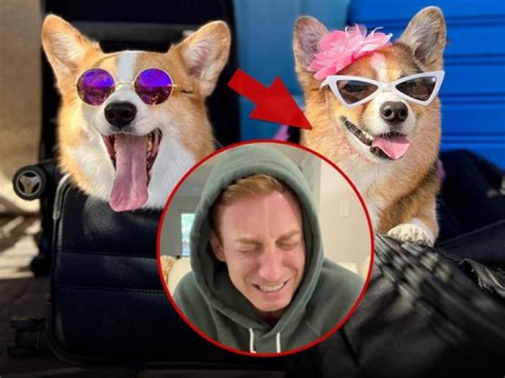 Hammy and Olivia deliver heartbreaking news about Olivia the in