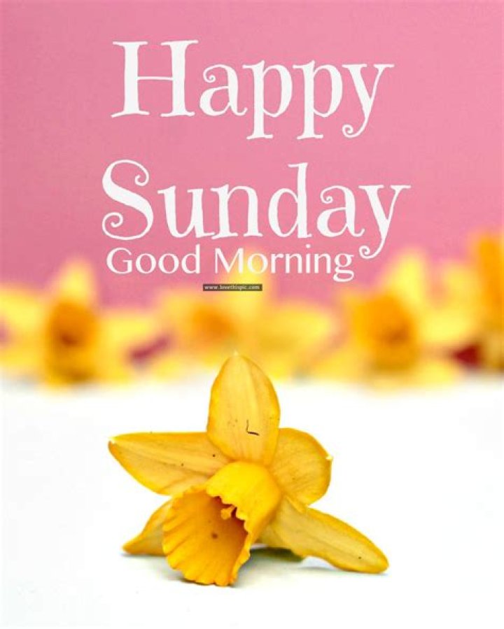 Happy Sunday, Good Morning Pictures, Photos, and Images for Facebook