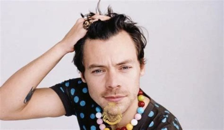 HARRY STYLES Calvo acabado kkkkkkkk pandlr