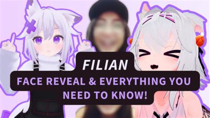 Has Froot Vtuber's Face Been Revealed?