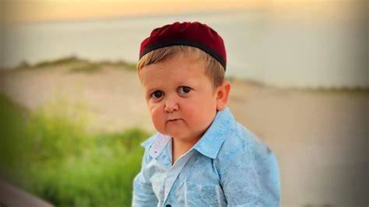 Hasbullah Magomedov Wiki The Life Story Of "Mini Khabib"
