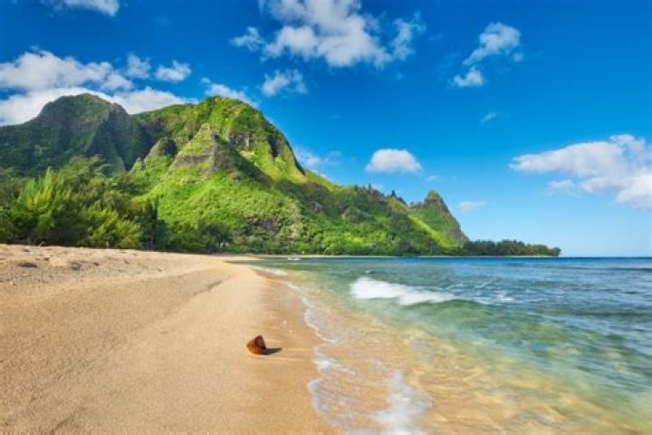 Hawaii's Surfjack Hotel Is One Of The World's Best Beach Hotels