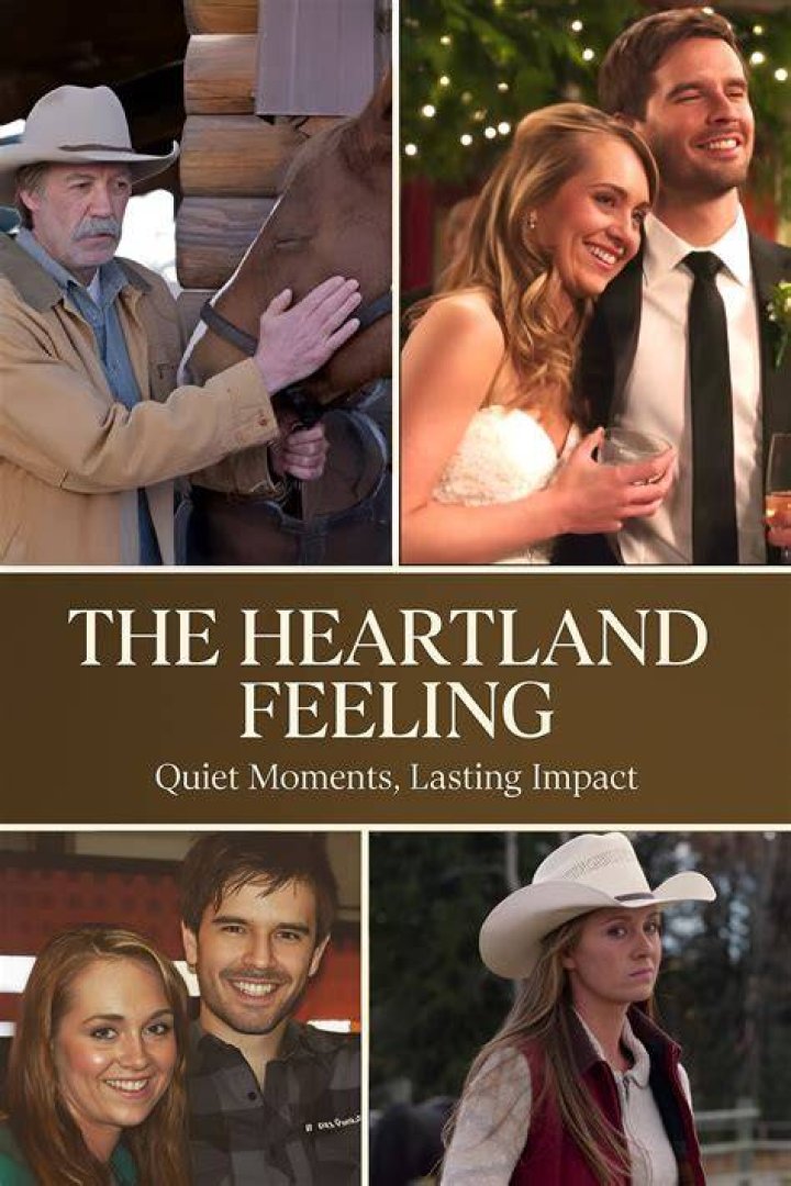 Heartland fans were left shocked as Ty Borden unexpected died in season