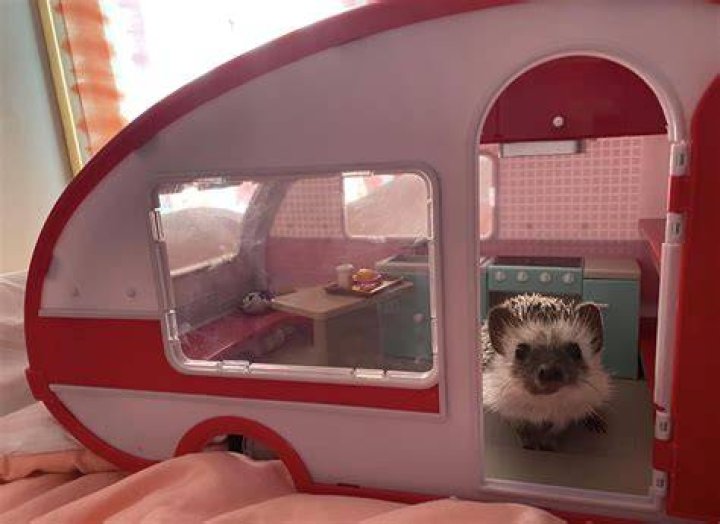 Hedgie buys 60M penthouse in wake of divorce settlement