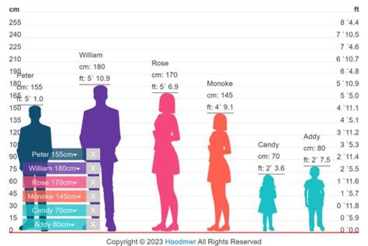 Height, Wealth, Husband, And More